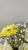Композиция в сумочке с гермини "Маленькая страна" арт 99006130665Дв